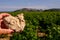 Example of caillottes Kimmerdigin limestone with oyster traces on vineyards around Sancerre wine making village, rows of sauvignon