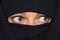 Example picture Islam. Muslim veiled woman