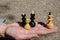 An example of treason and betrayal in a family on chess pieces: two kings, a queen and a pawn