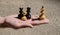 An example of treason and betrayal in a family on chess pieces: two kings, a queen and a pawn