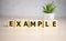 EXAMPLE word written on wooden blocks on wooden table. Concept for your design