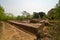 Excavated brick structure found at Ratnagiri Buddhist Excavation Site, India.