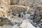 Excavated Ruins of the Pool of Bethesda and Church