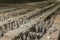 Excavated sculptures of the Terracotta Army in Xian, China