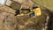 excavating soil into a dump truck to build a pond for store water for use in the dry season for agriculture, aerial top view