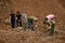 Excavations at the site of a war crime. Site of a mass shooting of people. Human remains bones of skeleton, skulls