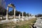 Excavations of the Temple of Hekate in Lagina Ancient City and Ancient columns