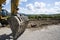 Excavator bucket near the vineyard