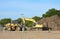 Excavator and bulldozer at a construction site with a large pile of dirt