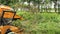 An excavator claw picking up the cut up branches