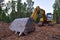 Excavator clearing forest for new development and road work. Backhoe for forestry work. Tracked heavy power machinery for forest