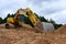 Excavator clearing forest for new development and road work. Backhoe for forestry work. Tracked heavy power machinery for forest