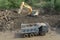 Excavator clears debris from road due to flooding