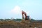 Excavator at a construction site during laying of underground pipes. Excavation contractor serving, trenching