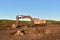 Excavator digging drainage ditch in peat extraction site. Drainage of peat bogs and destruction of trees. Drilling on bog for oil
