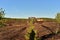 Excavator digging drainage ditch in peat extraction site. Drainage of peat bogs and destruction of trees. Drilling on bog for oil