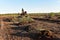 Excavator digging drainage ditch in peat extraction site. Drainage of peat bogs and destruction of trees. Drilling on bog for oil