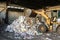 Excavator dumps cardboard garbage at waste recycling plant