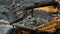 Excavator fills dump truck. Bucket excavator closeup loads stones into body of dump truck on mining or construction of