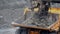 Excavator fills dump truck. Bucket excavator closeup loads stones into body of dump truck on mining or construction of