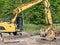 Excavator in the forest preparing construction of the hiking tr