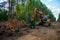 Excavator Grapple during clearing forest for new development. Tracked Backhoe with forest clamp for forestry work. Tracked timber