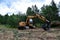 Excavator Grapple during clearing forest for new development. Tracked Backhoe with forest clamp for forestry work. Tracked timber