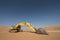 Excavator in Liwa desert