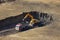 Excavator loading a dump truck in a quarry