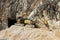 excavator in a marble quarry in carrara , italy