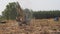 An excavator operates on agricultural land