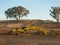 Excavator parked in a clearing area