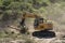 Excavator removing tree section from a riverbank. Breede River, Robertson.