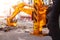 An excavator`s rear bucket digs in the courtyard of a residential building. Laying gas and water supply, replacing old