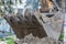 Excavator scoops up soil in a bucket