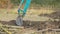 Excavator shovels the roots of trees