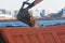 Excavator unloading sand into the dump truck on the construction site, excavating and working during road works, backhoe and