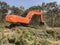 Excavator uproots stumps of cutted trees in the coniferous highland forest