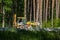 Excavator works on the construction of the railway in the forest. Yellow excavator pours the gravel between the sleepers