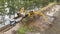 Excavators loading a truck