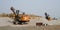 Excavators in an opencast mine