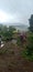 Excellent Scenary View of Bhushi Dam from Waterfall side in a tourist place