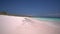 Excellent shooting from the ground on a beach with pink sand, waves of the tropical ocean run up sand beach, the beach