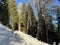 Excellently arranged and cleaned winter trails for walking, hiking, sports and recreation in the area of the resort Arosa