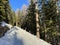 Excellently arranged and cleaned winter trails for walking, hiking, sports and recreation in the area of the resort Arosa