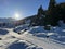 Excellently arranged and cleaned winter trails for walking, hiking, sports and recreation in the area of the resort Arosa