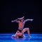 Excessive demands-Errand into the maze-Modern dance-choreographer Martha Graham
