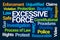 Excessive Force Word Cloud