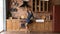 Excited barefooted millennial woman dancing to music in loft kitchen