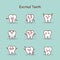 Excited cartoon tooth set